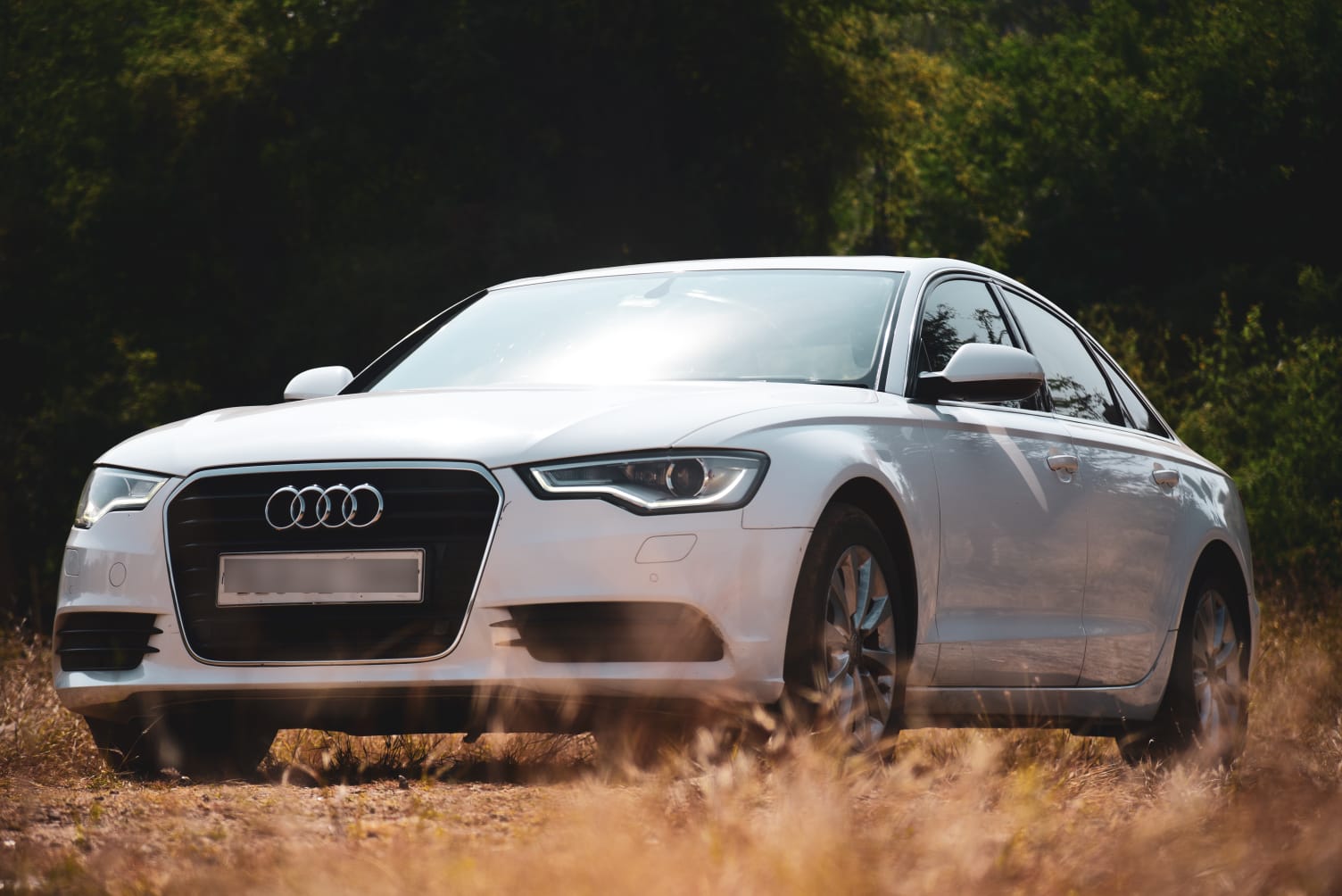 Audi-5
